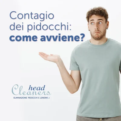 Contagio dei pidocchi: come avviene?