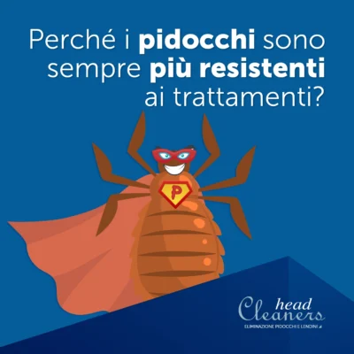 Pidocchi resistenti ai trattamenti: nasce il super-pidocchio